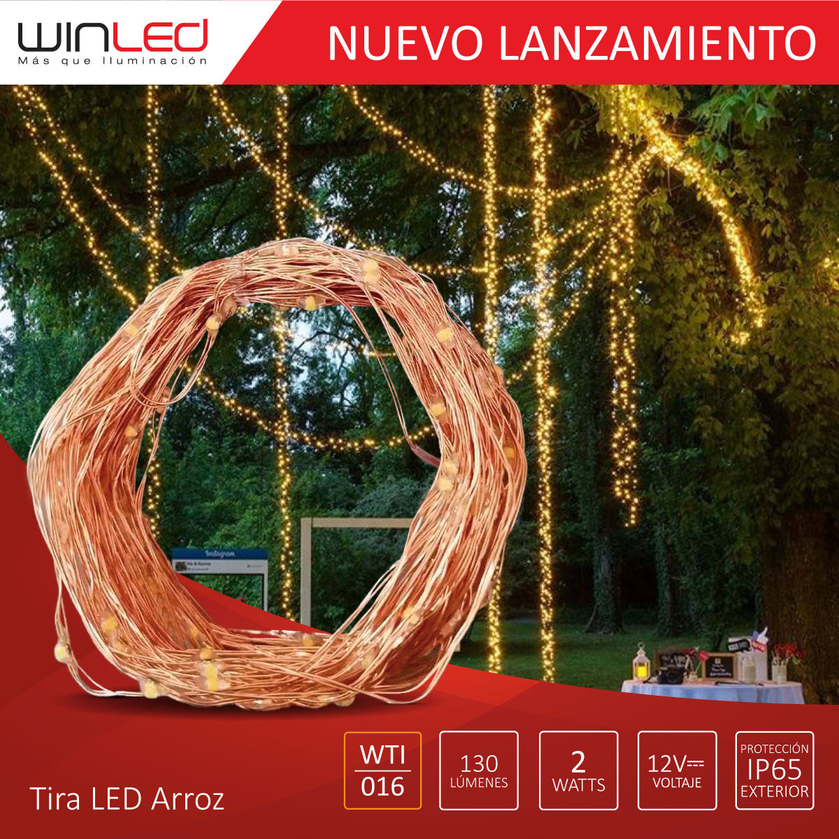 Tira LED Tipo Arroz 12V para Exteriores – 10 Metros de Iluminación Indirecta Blanca Fría IP65