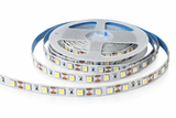 Tira LED 5050 12V Blanca 6500K para Iluminación Interior 5m