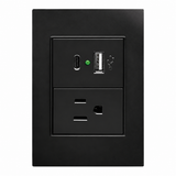 Placa de Contacto con USB-A y USB-C Negro 15A 127-250V para Interior