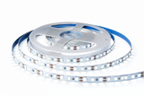 Tira LED 2835 12V Blanca 6500K Alta Densidad para Interior 5m